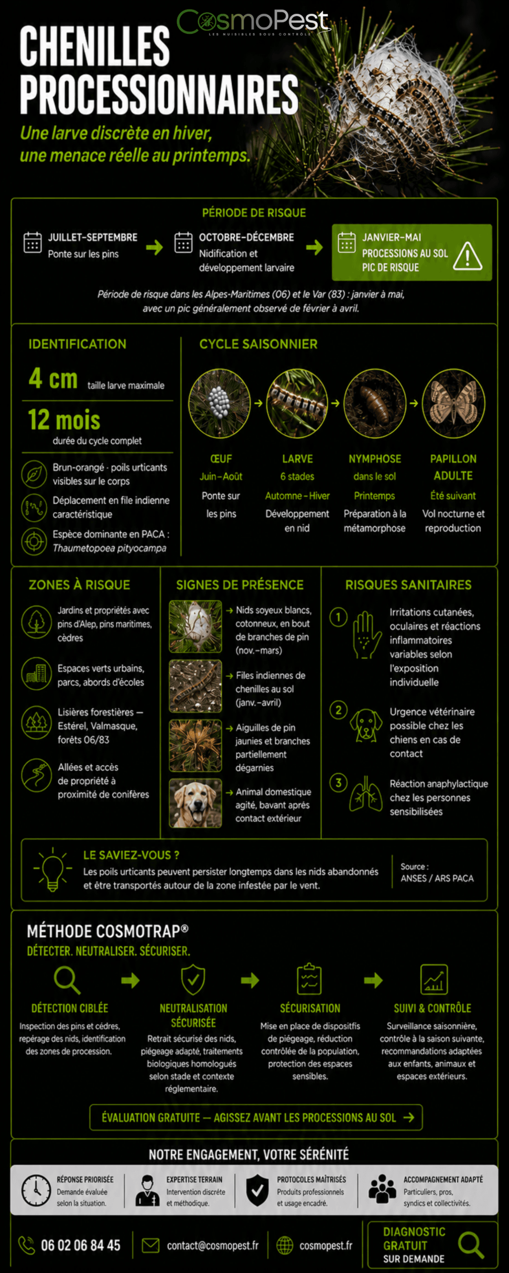 Fiche infographie chenille processionnaire CosmoPest