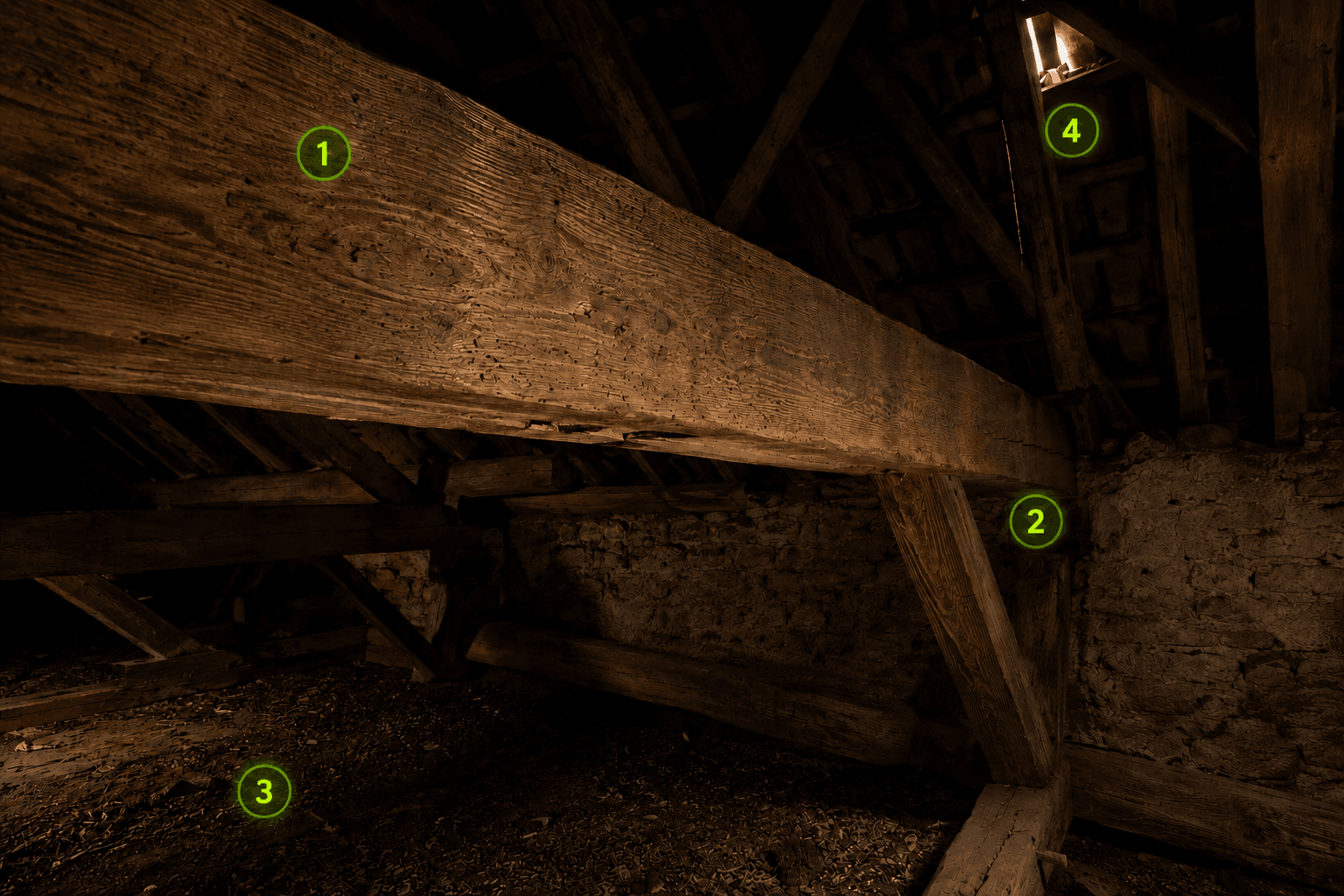 Charpente ancienne en combles — points d'installation des insectes xylophages